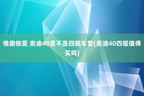 情趣做爱 奥迪40是不是四驱车型(奥迪40四驱值得买吗)