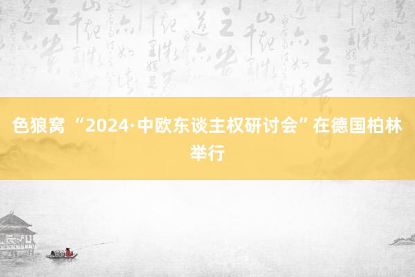 色狼窝 “2024·中欧东谈主权研讨会”在德国柏林举行